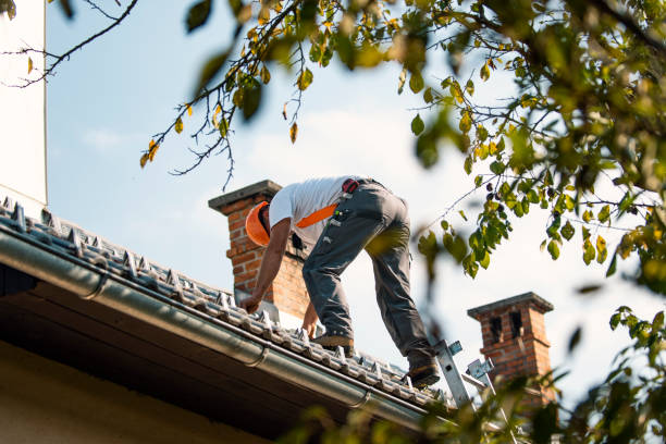 Best Affordable Roofing Company  in Ecorse, MI