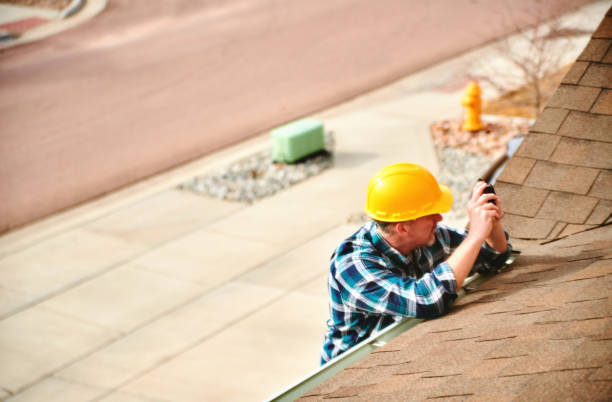 Best Roof Repair Services  in Ecorse, MI