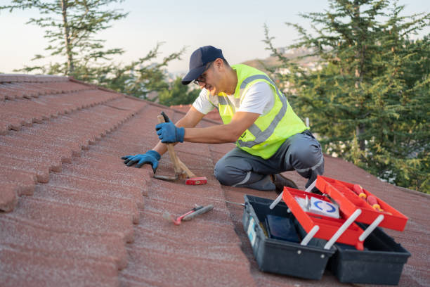 Best Metal Roofing Contractor  in Ecorse, MI