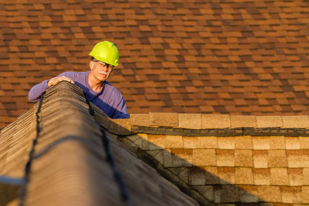 Best Roof Gutter Cleaning  in Ecorse, MI