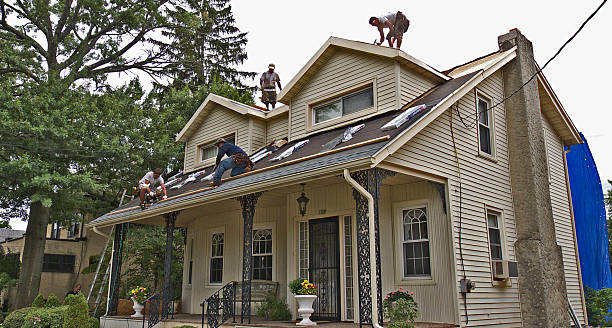 Best Flat Roof Repair Services  in Ecorse, MI