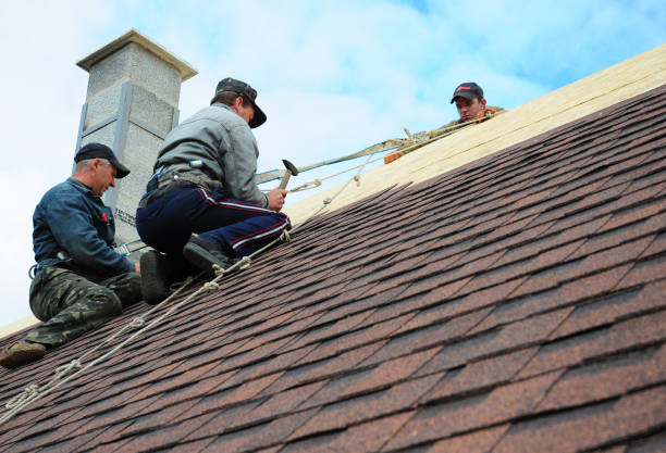 Best Roof Gutter Cleaning  in Ecorse, MI