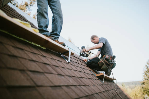 Best Roof Maintenance Services  in Ecorse, MI