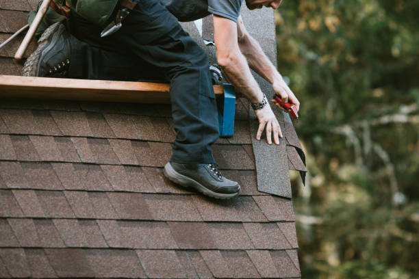 Best Affordable Roof Replacement  in Ecorse, MI