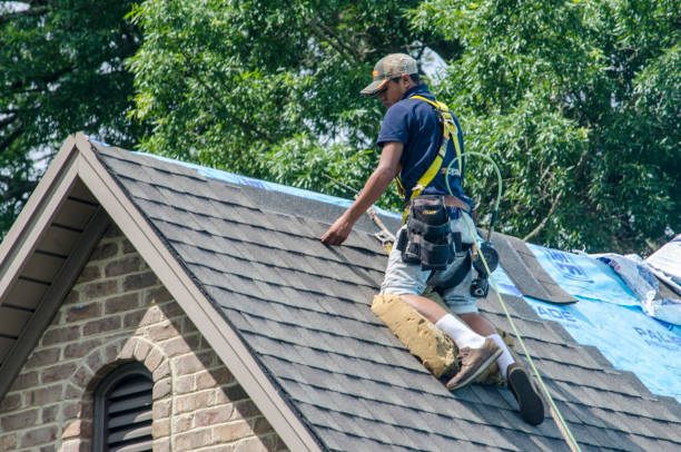 Best Roof Restoration Services  in Ecorse, MI