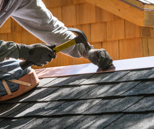 Best Roof Waterproofing Services  in Ecorse, MI